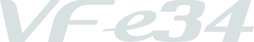 Logo Top Vfe34